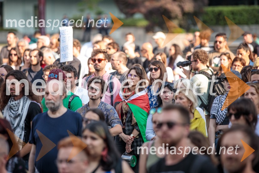 Protest civilne družbe Gaza strada, kaj dela vlada!?