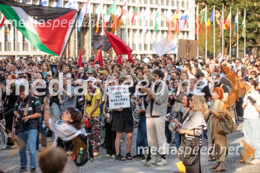 Protest civilne družbe Gaza strada, kaj dela vlada!?