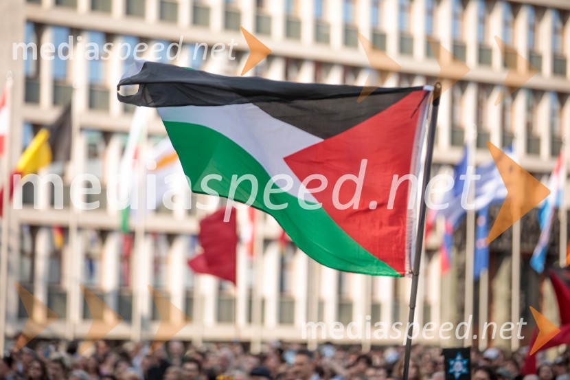 Protest civilne družbe Gaza strada, kaj dela vlada!?