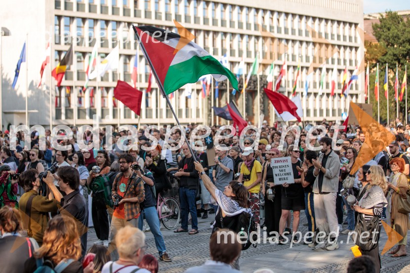 Protest civilne družbe Gaza strada, kaj dela vlada!?