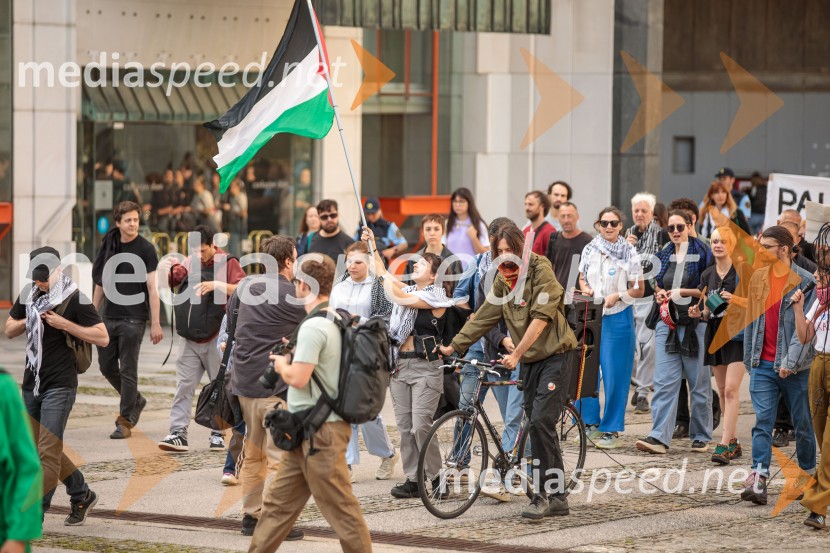 Protest civilne družbe Gaza strada, kaj dela vlada!?