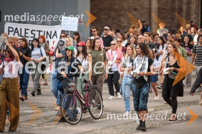 Protest civilne družbe Gaza strada, kaj dela vlada!?