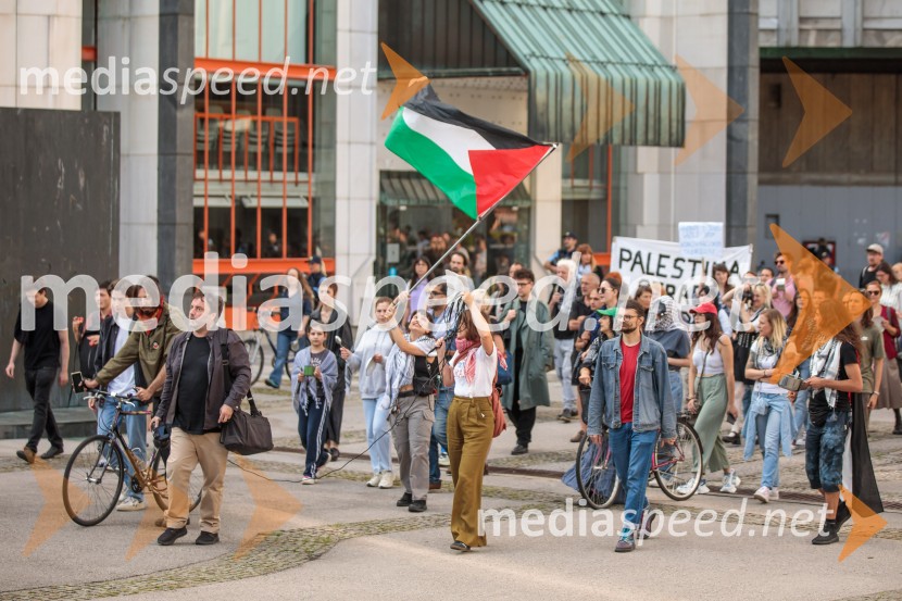Protest civilne družbe Gaza strada, kaj dela vlada!?
