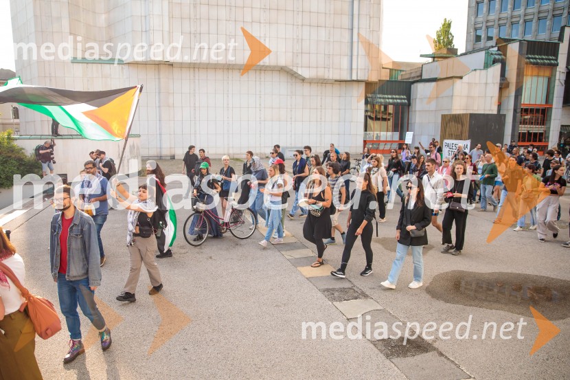 Protest civilne družbe Gaza strada, kaj dela vlada!?