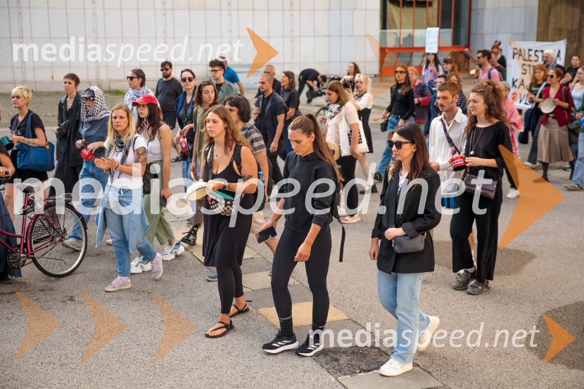 Protest civilne družbe Gaza strada, kaj dela vlada!?