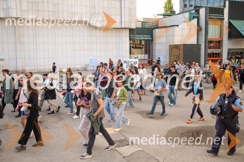 Protest civilne družbe Gaza strada, kaj dela vlada!?