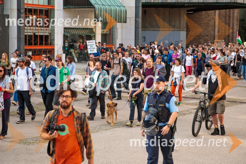 Protest civilne družbe Gaza strada, kaj dela vlada!?