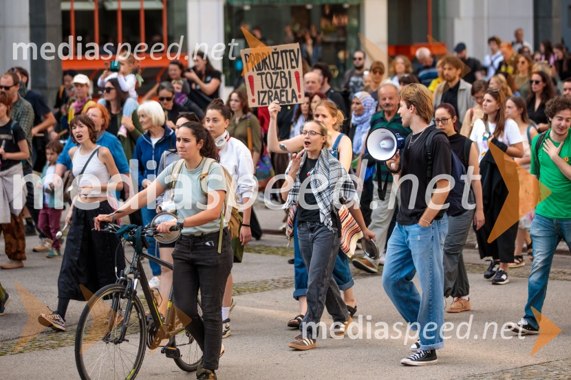 Protest civilne družbe Gaza strada, kaj dela vlada!?