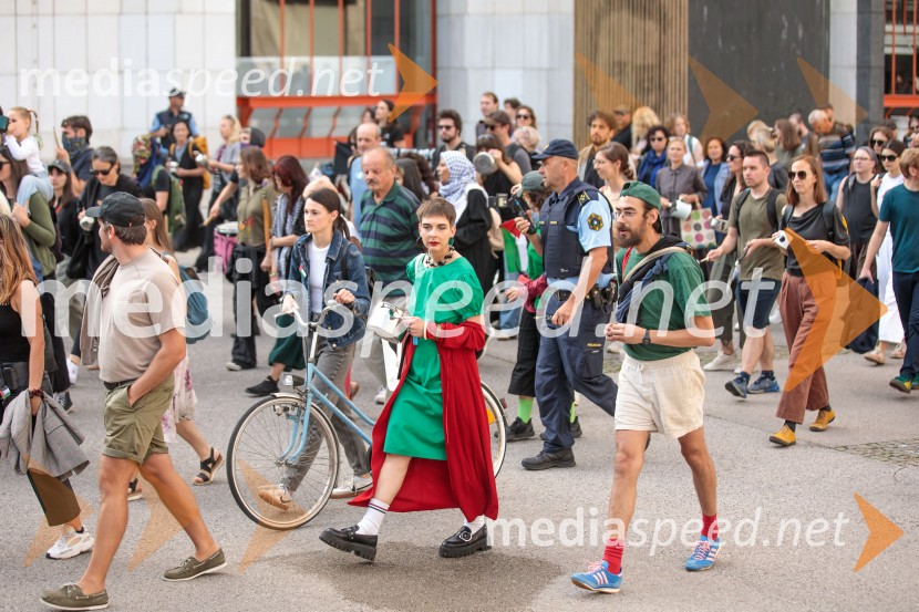 Protest civilne družbe Gaza strada, kaj dela vlada!?