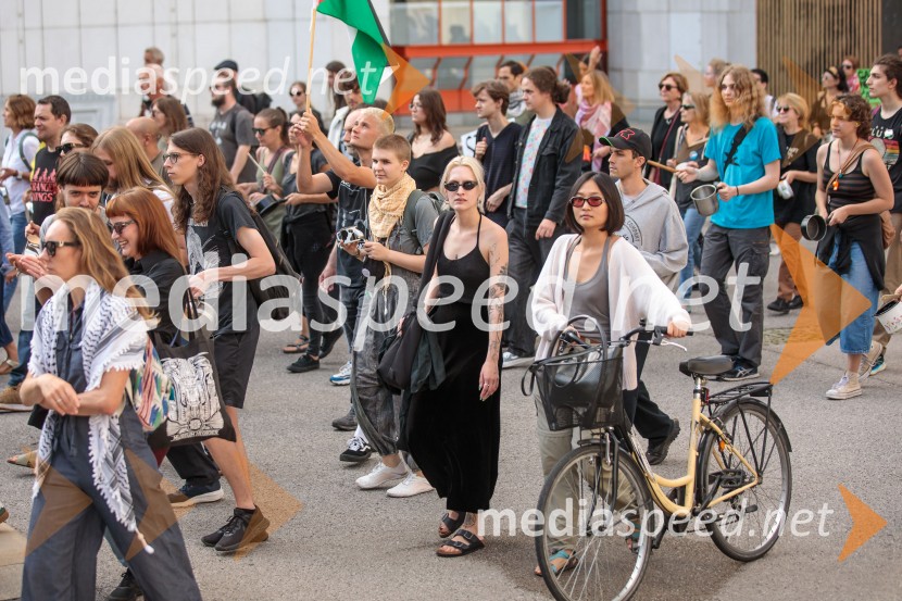 Protest civilne družbe Gaza strada, kaj dela vlada!?
