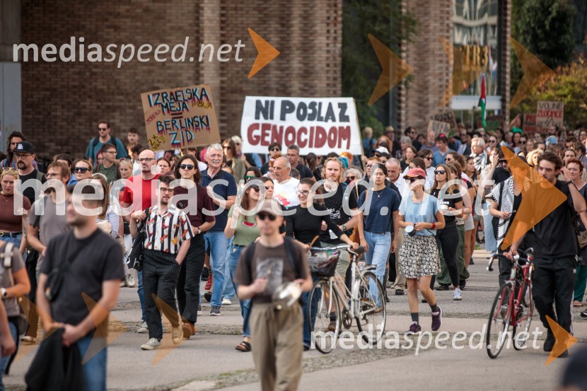 Protest civilne družbe Gaza strada, kaj dela vlada!?