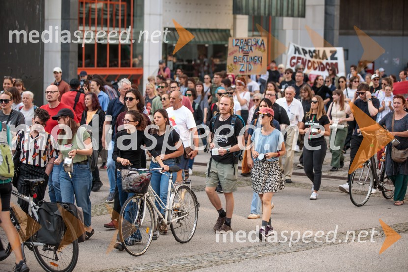 Protest civilne družbe Gaza strada, kaj dela vlada!?