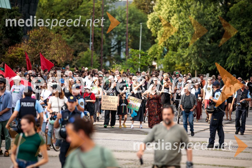 Protest civilne družbe Gaza strada, kaj dela vlada!?
