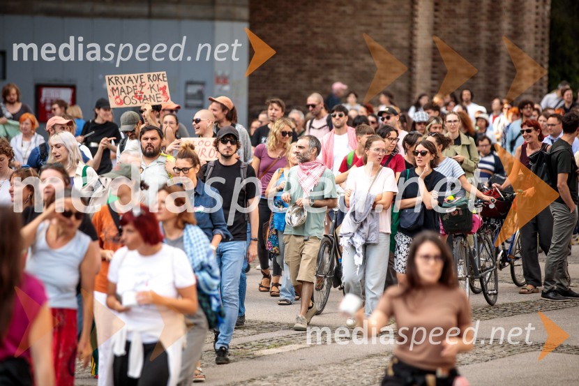 Protest civilne družbe Gaza strada, kaj dela vlada!?