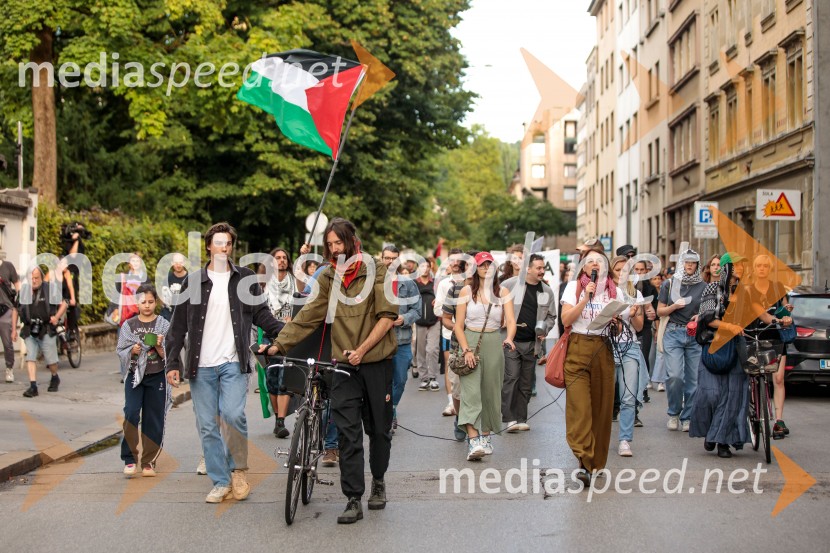 Protest civilne družbe Gaza strada, kaj dela vlada!?