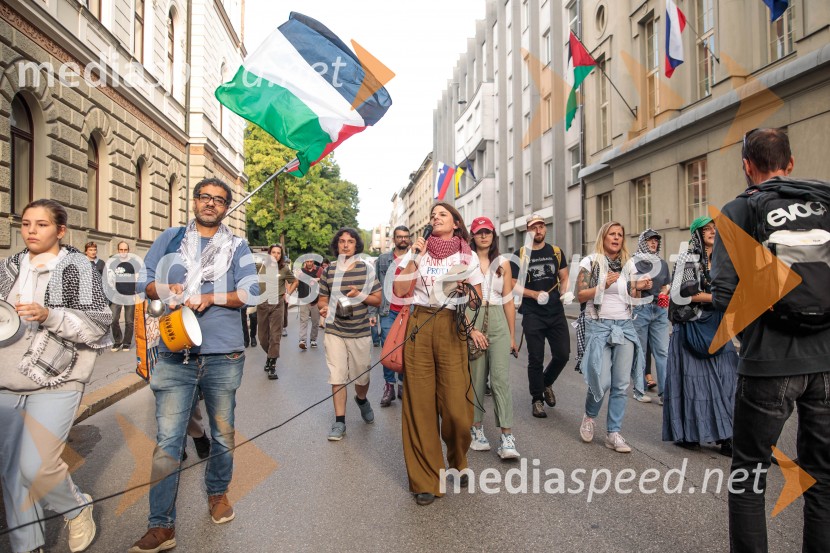 Protest civilne družbe Gaza strada, kaj dela vlada!?