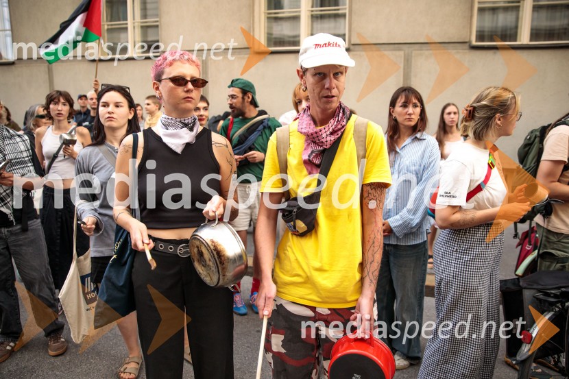 Protest civilne družbe Gaza strada, kaj dela vlada!?
