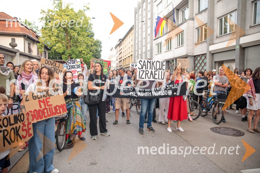 Protest civilne družbe Gaza strada, kaj dela vlada!?