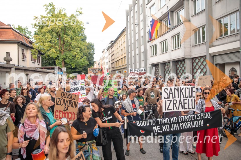 Protest civilne družbe Gaza strada, kaj dela vlada!?