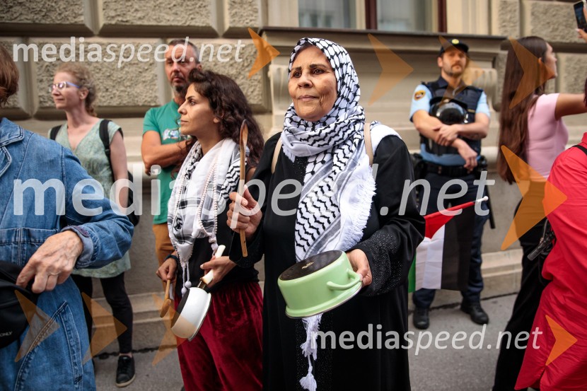 Protest civilne družbe Gaza strada, kaj dela vlada!?