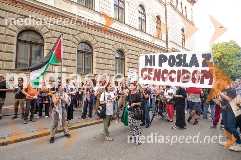Protest civilne družbe Gaza strada, kaj dela vlada!?