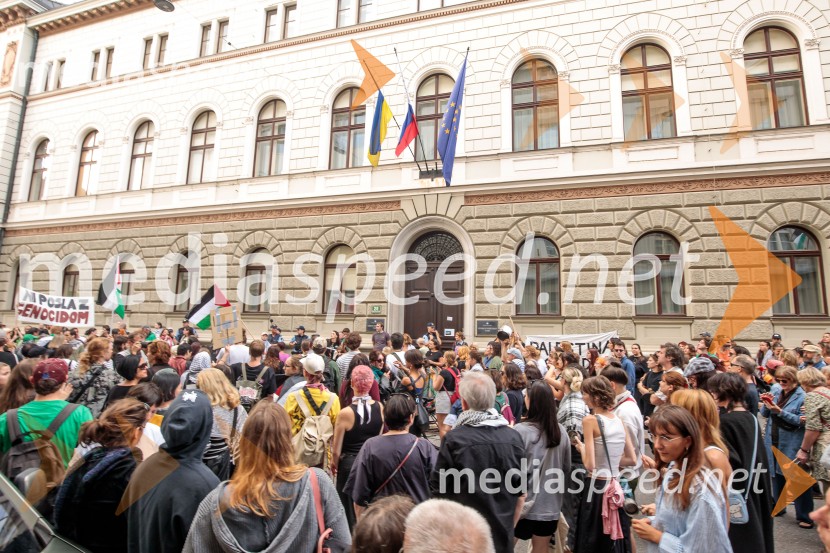 Protest civilne družbe Gaza strada, kaj dela vlada!?