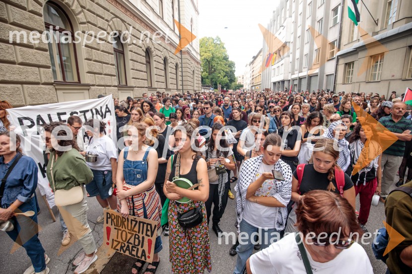 Protest civilne družbe Gaza strada, kaj dela vlada!?