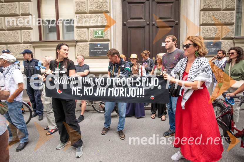 Protest civilne družbe Gaza strada, kaj dela vlada!?