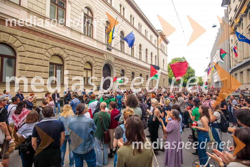 Protest civilne družbe Gaza strada, kaj dela vlada!?