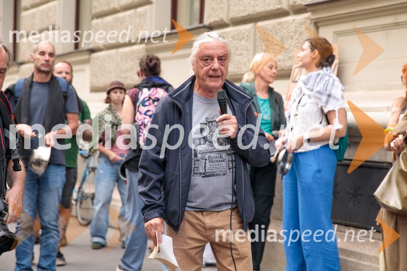 Protest civilne družbe Gaza strada, kaj dela vlada!?