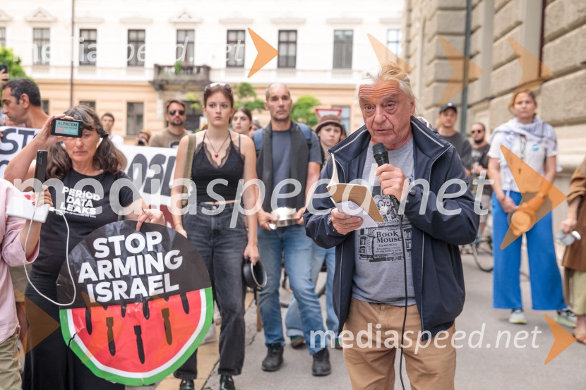 Protest civilne družbe Gaza strada, kaj dela vlada!?