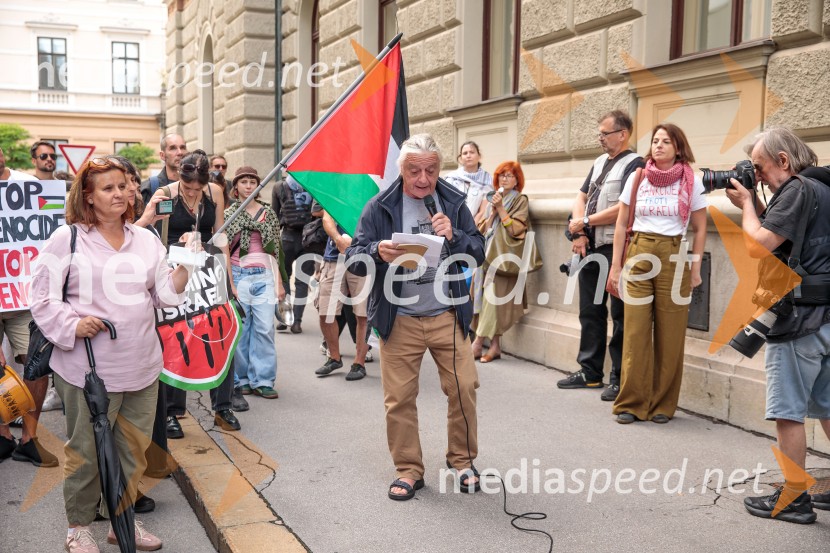 Protest civilne družbe Gaza strada, kaj dela vlada!?