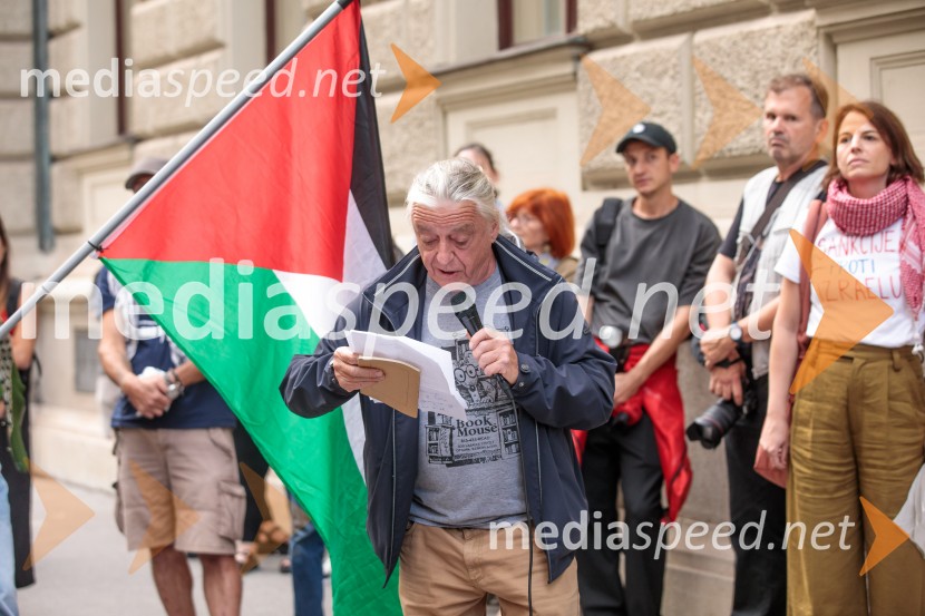 Protest civilne družbe Gaza strada, kaj dela vlada!?