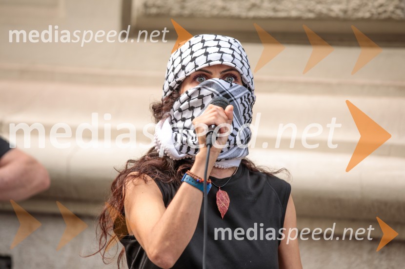 Protest civilne družbe Gaza strada, kaj dela vlada!?