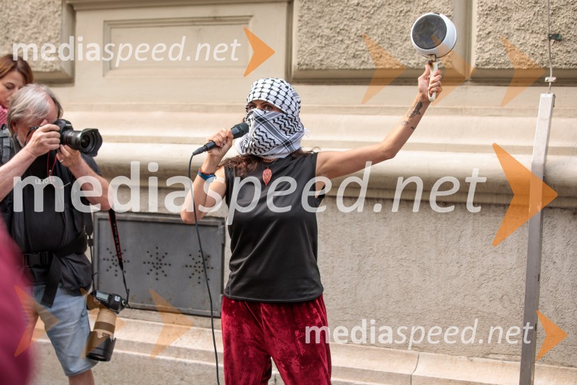 Protest civilne družbe Gaza strada, kaj dela vlada!?