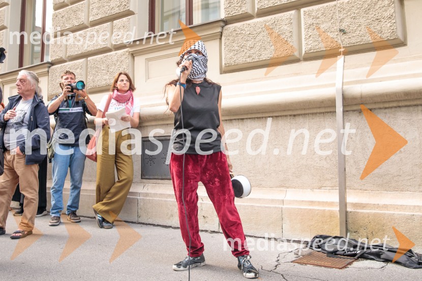 Protest civilne družbe Gaza strada, kaj dela vlada!?
