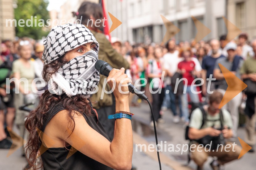 Protest civilne družbe Gaza strada, kaj dela vlada!?