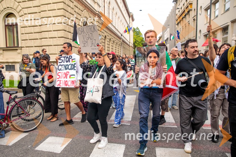 Protest civilne družbe Gaza strada, kaj dela vlada!?