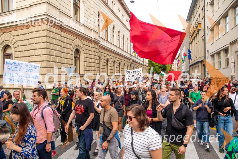 Protest civilne družbe Gaza strada, kaj dela vlada!?