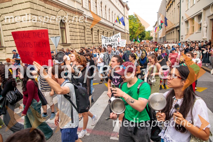 Protest civilne družbe Gaza strada, kaj dela vlada!?