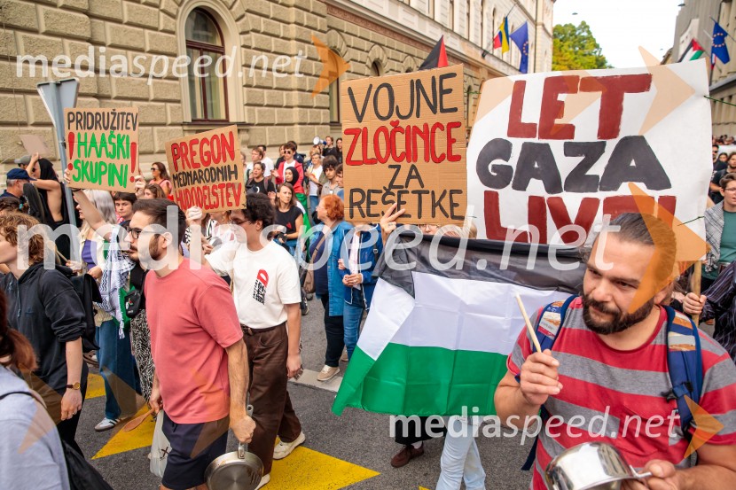Protest civilne družbe Gaza strada, kaj dela vlada!?