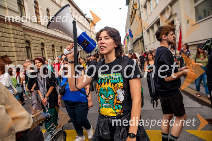 Protest civilne družbe Gaza strada, kaj dela vlada!?