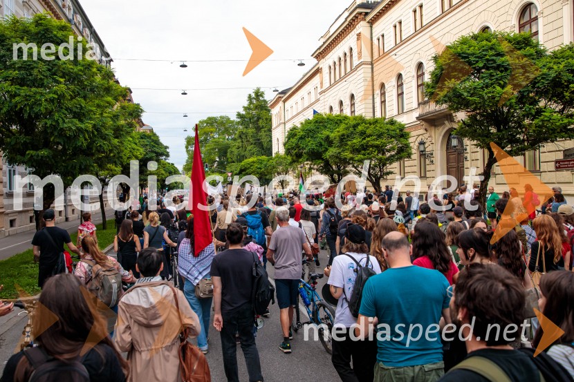 Protest civilne družbe Gaza strada, kaj dela vlada!?