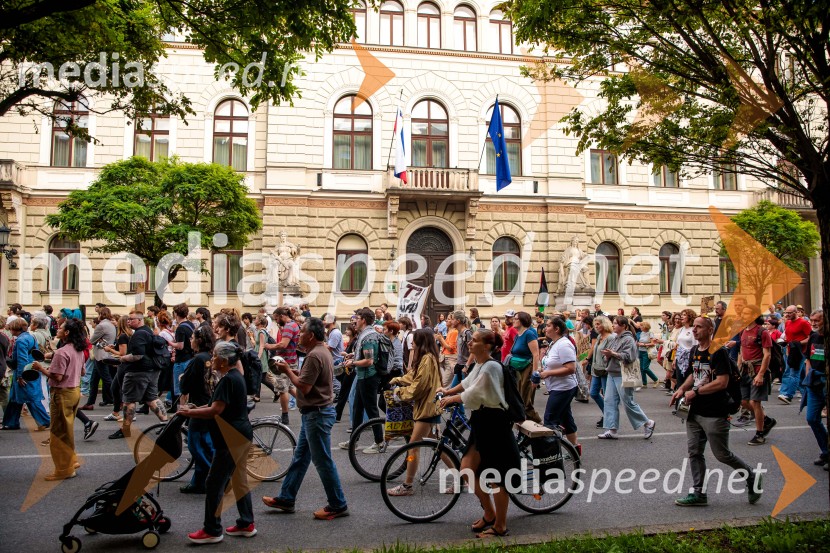 Protest civilne družbe Gaza strada, kaj dela vlada!?
