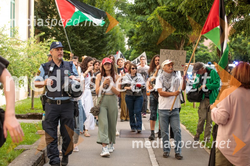 Protest civilne družbe Gaza strada, kaj dela vlada!?