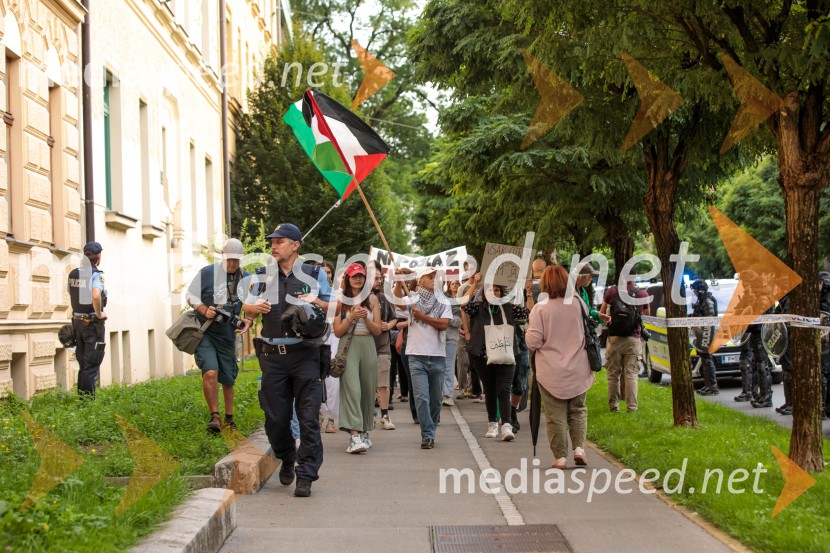 Protest civilne družbe Gaza strada, kaj dela vlada!?