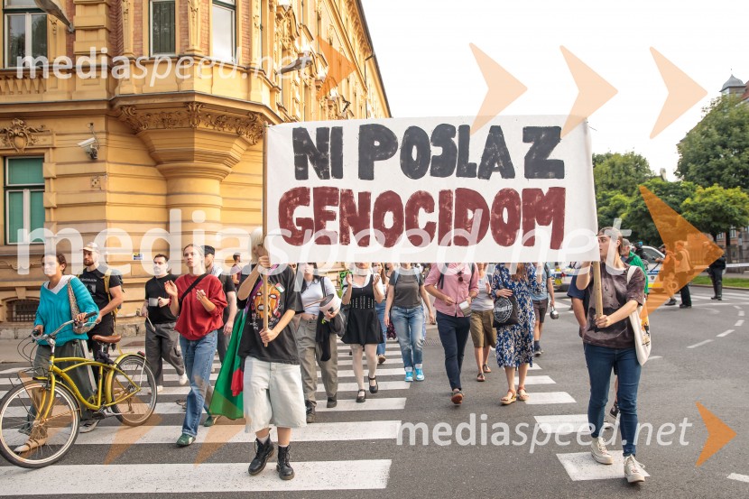 Protest civilne družbe Gaza strada, kaj dela vlada!?
