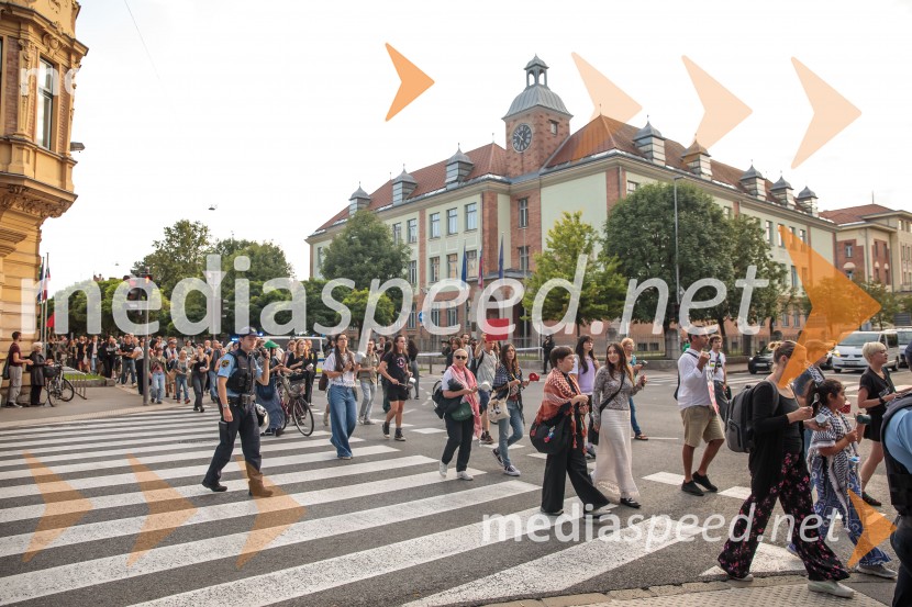 Protest civilne družbe Gaza strada, kaj dela vlada!?