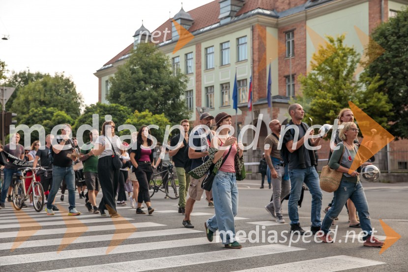 Protest civilne družbe Gaza strada, kaj dela vlada!?
