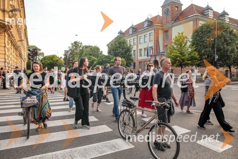 Protest civilne družbe Gaza strada, kaj dela vlada!?